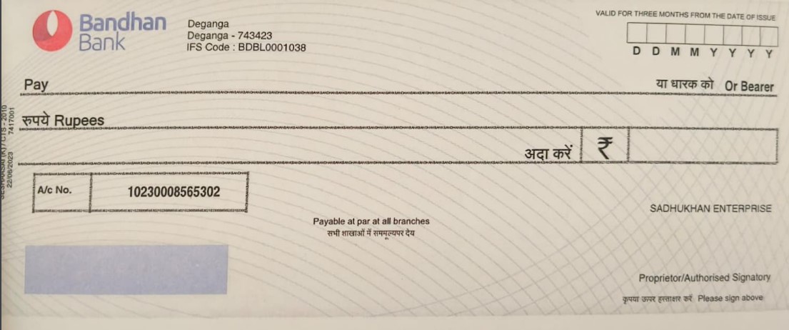 Check Payment Image